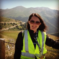 Heidi Moser Email & Phone Number
