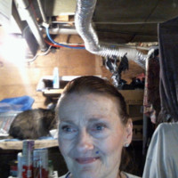 FULL TIME STUDENT Employee Crystal Geng's profile photo