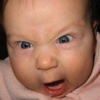 Peter McKay Email & Phone Number