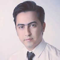 Logiico Employee Pourya Montakhab's profile photo
