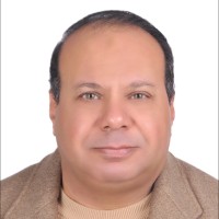 Hamdy Youssef Email