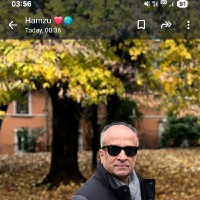 Sayed Moosavi Email & Phone Number
