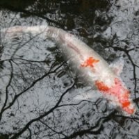 Hero Digital Employee Adam Trissel's profile photo