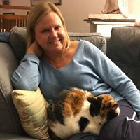 The Araca Group Employee Julie Monahan's profile photo