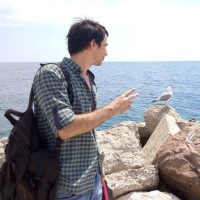 NetInfo SRL Employee Vasili Gariuc's profile photo