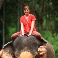 Martin, Disiere, Jefferson & Wisdom, LLP Employee Amy Hansen's profile photo