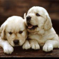 Bill Hughes Email & Phone Number