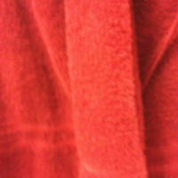 Cesar Sanchez Email & Phone Number