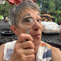 Link Computer Corporation Employee Pam Diandrea's profile photo