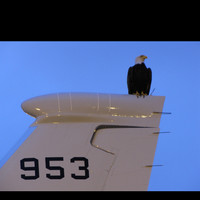 KBR, Inc. Employee Randy Nail's profile photo