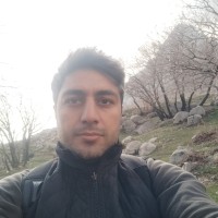 Kourosh Ezzati Email