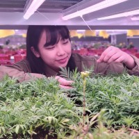 Common Farms Employee Jessica Fong's profile photo
