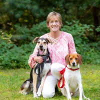 Dawn van Kampen Email & Phone Number