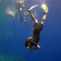 libero professionista Employee Simone Ricci's profile photo