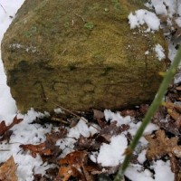 Jeremy Donaldson Email & Phone Number