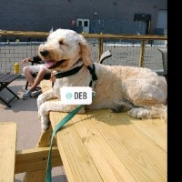 Scott MacHowski Email & Phone Number