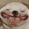 Amogus Technologies Employee Ben Dover's profile photo