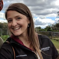 Bayside Pediatrics Employee Steffani O'Donnell's profile photo