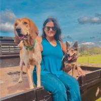 McKenzie Johnson Email & Phone Number