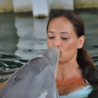 Automax Recruiting And Training Employee Jodi Adkins's profile photo