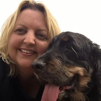 VetCT Employee Mandy Stevens's profile photo