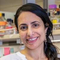 Shiri Levy Email & Phone Number