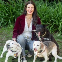 New Beginnings Counseling Center Santa Barbara Employee Brenda Lang's profile photo