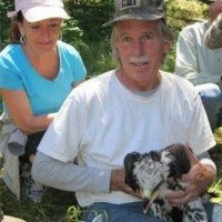 Rob Fender Email & Phone Number