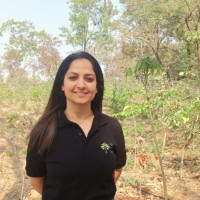 Nidhi Singh Email