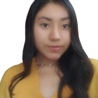 Alisson Colque Email