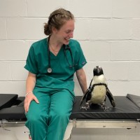 Veterinary Referral Associates Employee Emma Fralin's profile photo