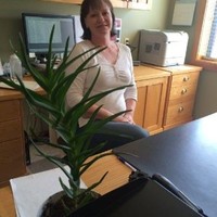 Dillon Toyota-Lift Employee Cindy Geiger's profile photo