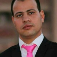 Reda Ibrahim Email