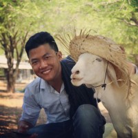 ANTS Programmatic Employee Huynh Thang's profile photo