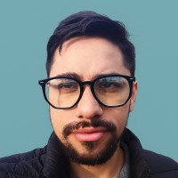 FUCAPI Employee Emerson Leão's profile photo