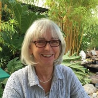 Toni Winter Email