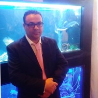Hatem Ghachem Email