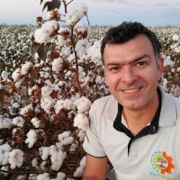 AgroThings Employee Thiago Oliveira's profile photo