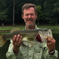 Fishing Employee Steve Pike's profile photo