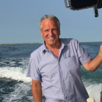 David Stoddard Email & Phone Number