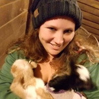 Lauren Clark Email & Phone Number
