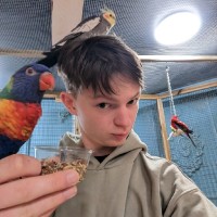 Flapper Drones Employee Ondrej Hajny's profile photo