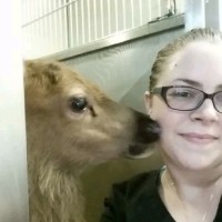 Dermatology for Animals Employee Alexa Allen's profile photo