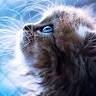 iLink Solutions Employee White's profile photo