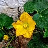 Murugan U Email