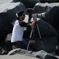 Atlas Production Group Employee Jordan Wade's profile photo