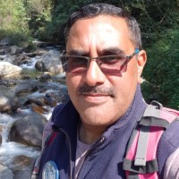Freelance Employee Vipin Williams's profile photo