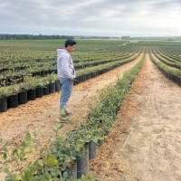 ADAMA Perú Employee John Imber Yupanqui Rodríguez's profile photo