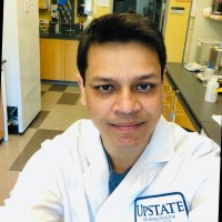 The Research Foundation for SUNY Employee Ashis Sinha's profile photo