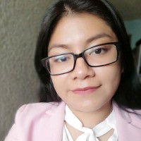 inmersys Employee Diana Delfino's profile photo